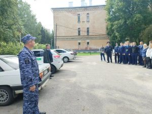 тренировки